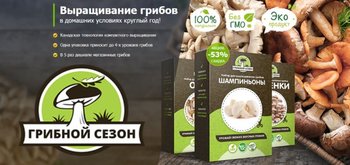 Как я заработала 50 тыс руб на продаже грибов, выращенных в квартире?
